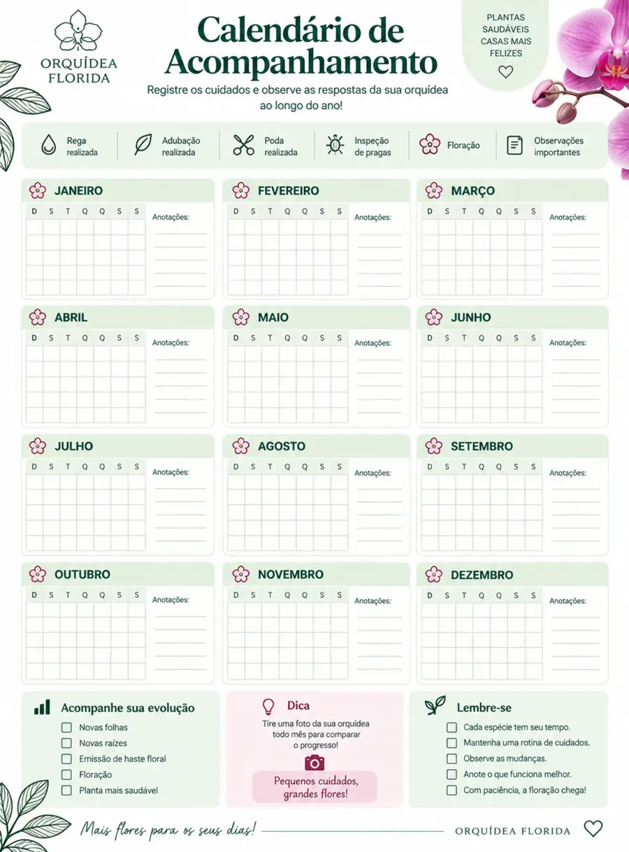 Prévia do bônus Calendário de Acompanhamento