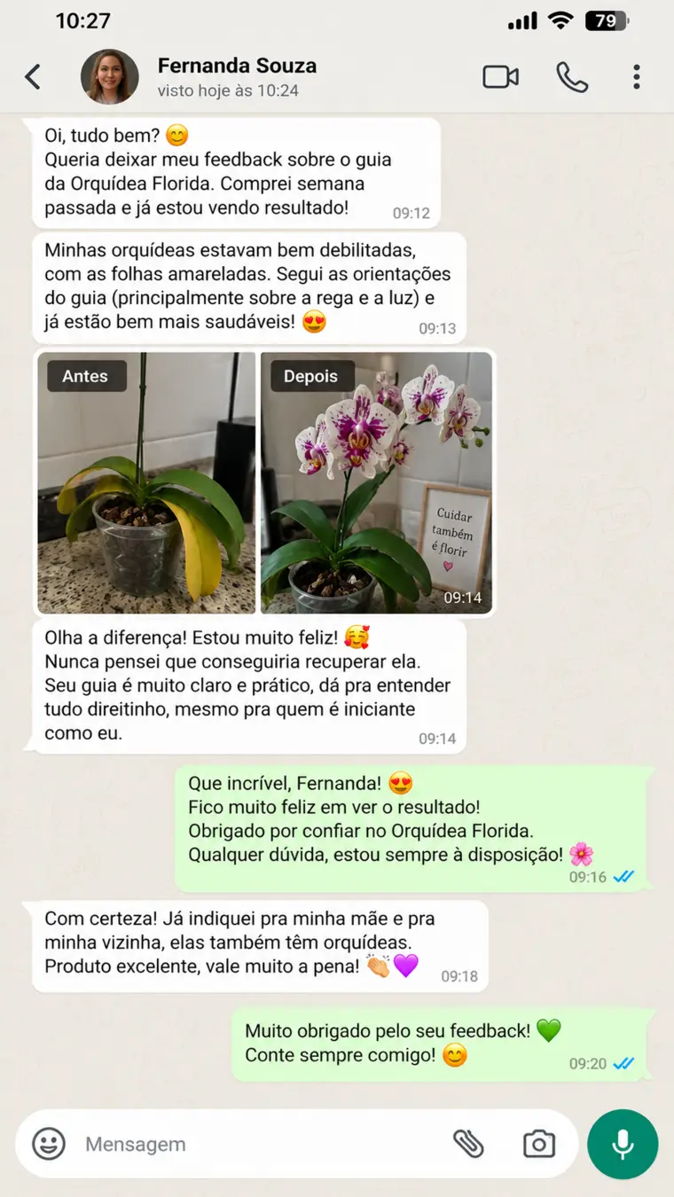 Conversa de WhatsApp com o depoimento de Fernanda Souza