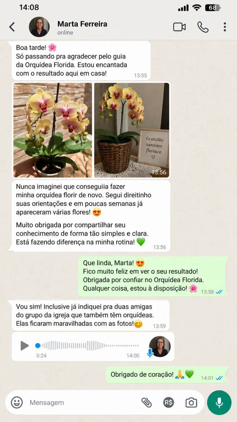 Conversa de WhatsApp com o depoimento de Marta Ferreira